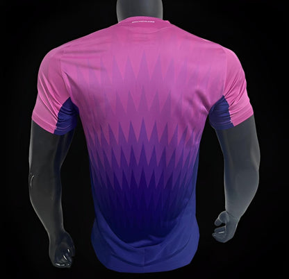 Joueur Version 2024 Allemagne Extérieur Violet Jersey