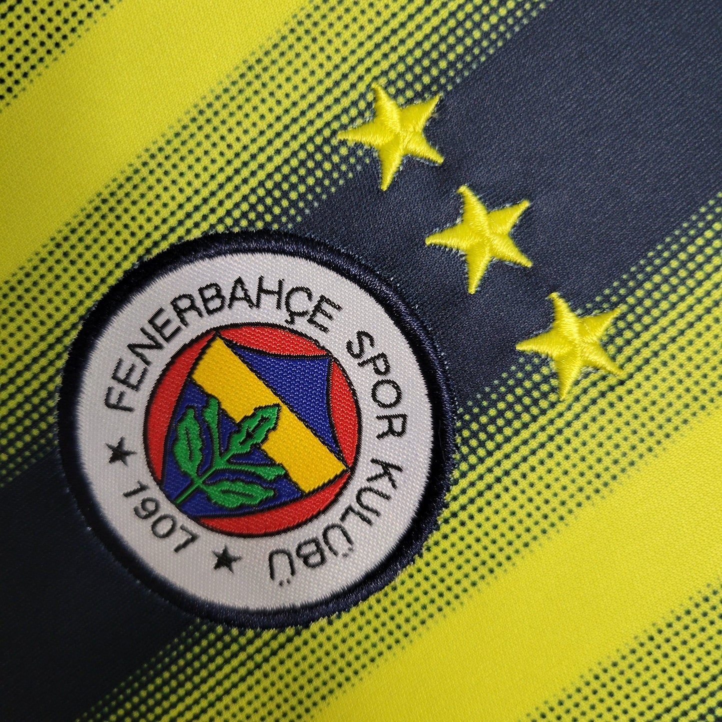 Fenerbahce principal 13/14