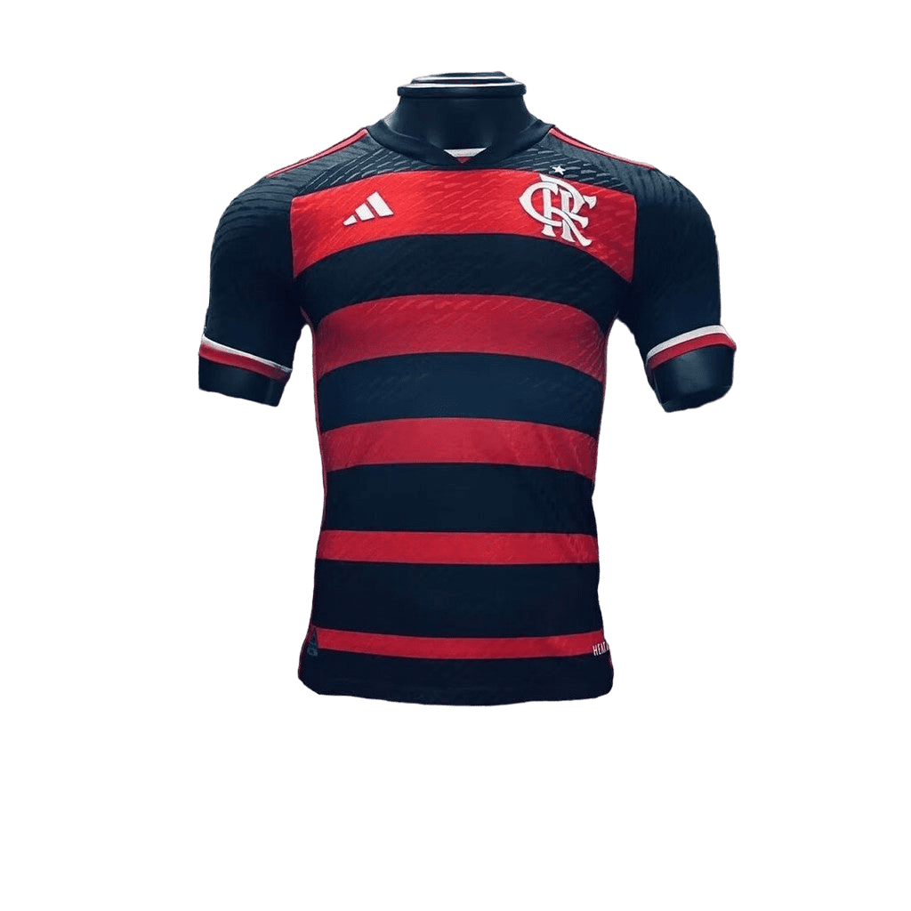 Flamengo Main 24/25-Spieler version